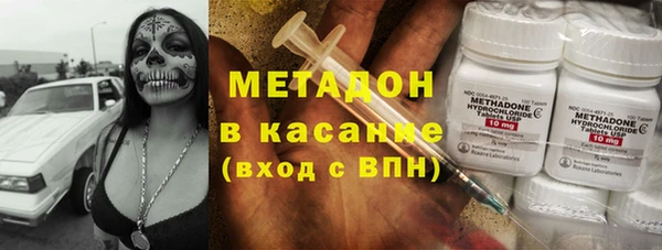 прущие грибы Дмитриев