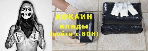 дживик Абинск