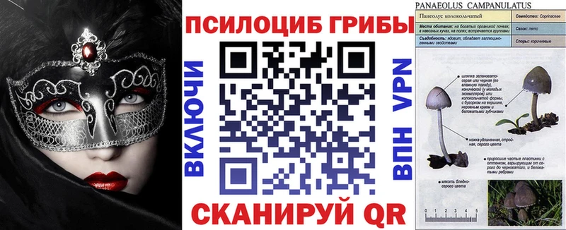 Галлюциногенные грибы GOLDEN TEACHER  закладки  Анапа 