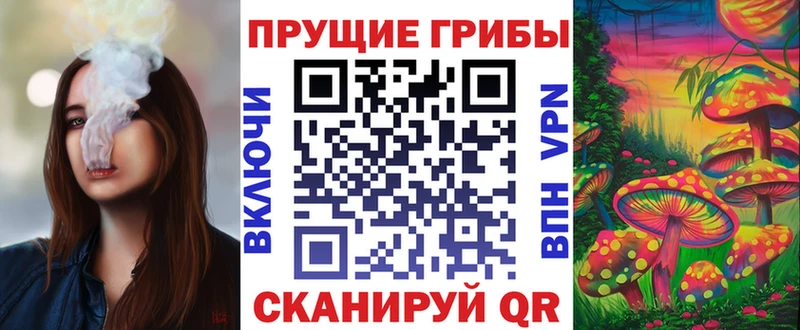 Псилоцибиновые грибы Cubensis Анапа